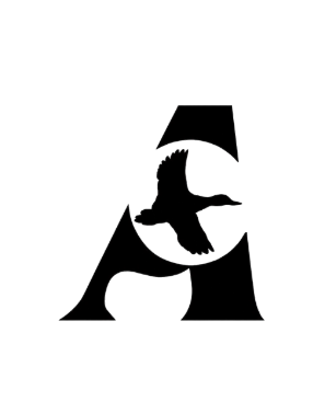 Avenu Studio